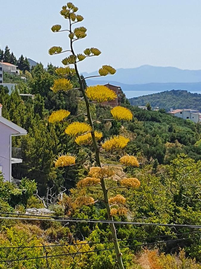 Apartment Dora Makarska Esterno foto